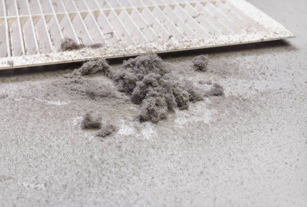 Best Commercial Air Duct Cleaning  in Cecilia, LA