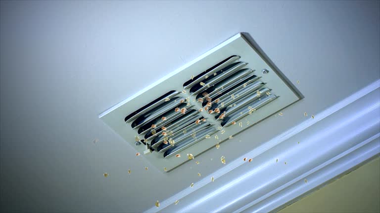 Best Duct Cleaning for Offices  in Cecilia, LA