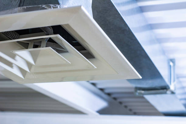 Best Local Air Duct Cleaning Services  in Cecilia, LA