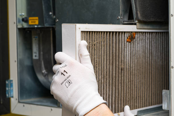 Best Emergency Air Duct Cleaning  in Cecilia, LA